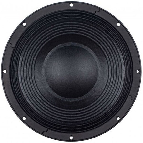 Main product image for B&C 12NBX100 12" Professional Neodymium Woo 294-5954